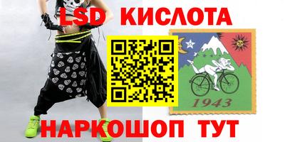 винт Донецк