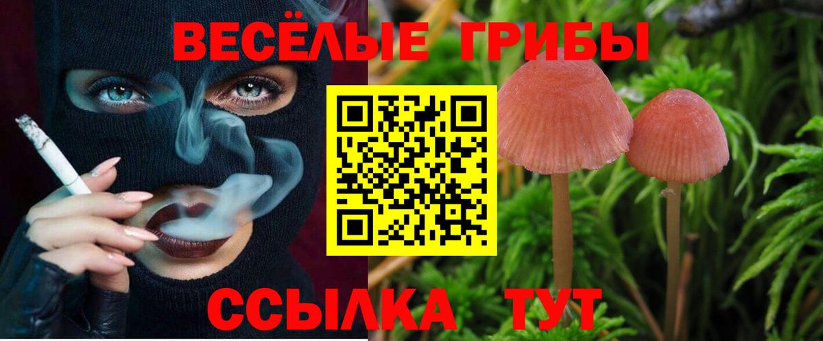 Галлюциногенные грибы прущие грибы  Псилоцибиновые грибы мухоморы  Вход с VPN  Мегион 